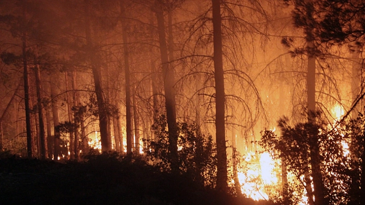 Yatağan Yava Mahallesi'nde acil tahliye