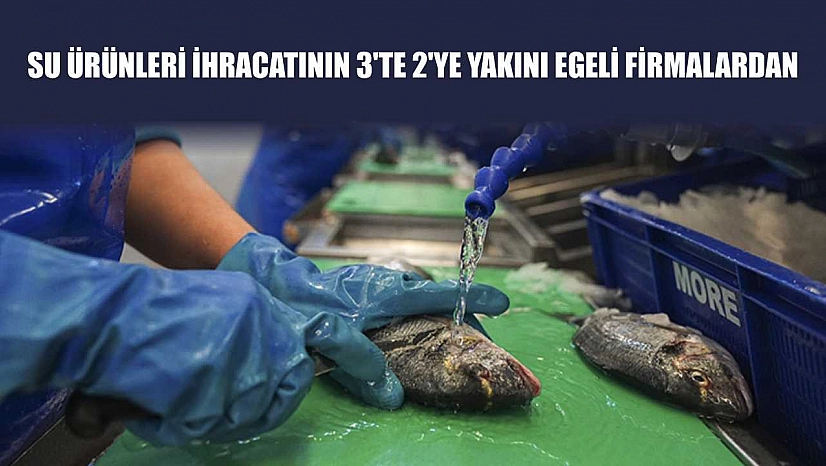 Su ürünleri ihracatının 3'te 2'ye yakını Egeli firmalardan