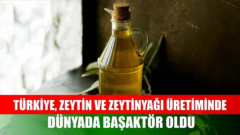 Türkiye, zeytin ve zeytinyağı üretiminde dünyada başaktör oldu