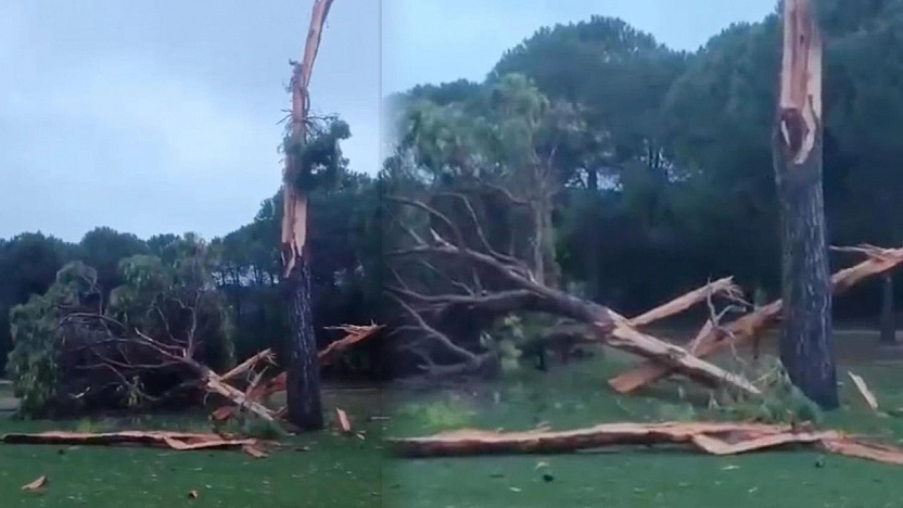 Golf sahasına düşen yıldırım ağacı parçalara ayırdı