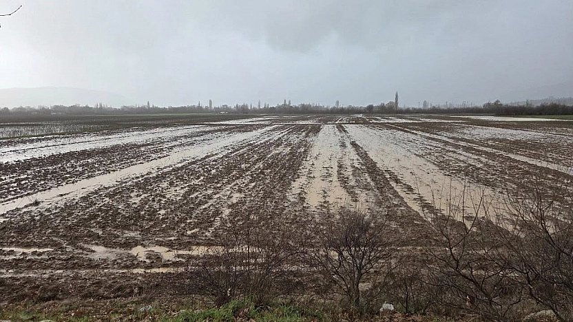 Menteşe'de tarım arazileri için ekipler sahaya indi