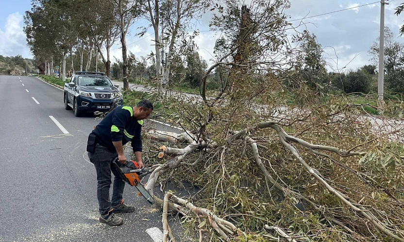 Bodrum Belediyesi ekiplerinden fırtına ve yağış mesaisi