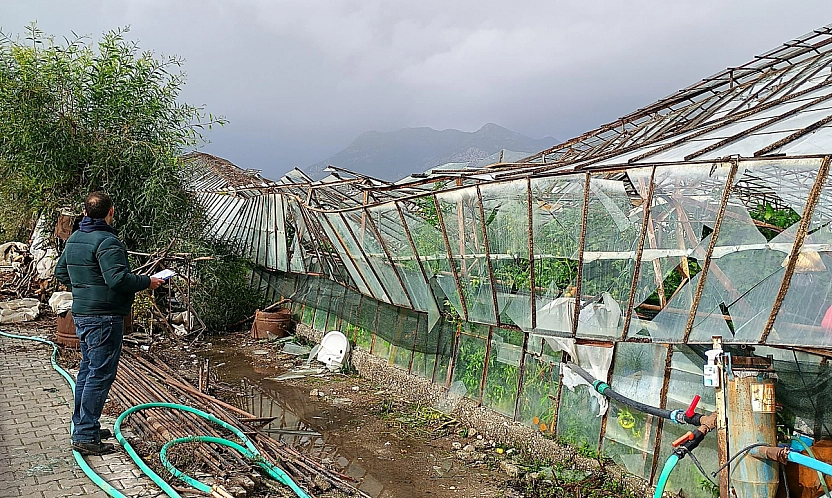 Seydikemer'de hortumun vurduğu seralarda hasar tespit çalışmaları başladı