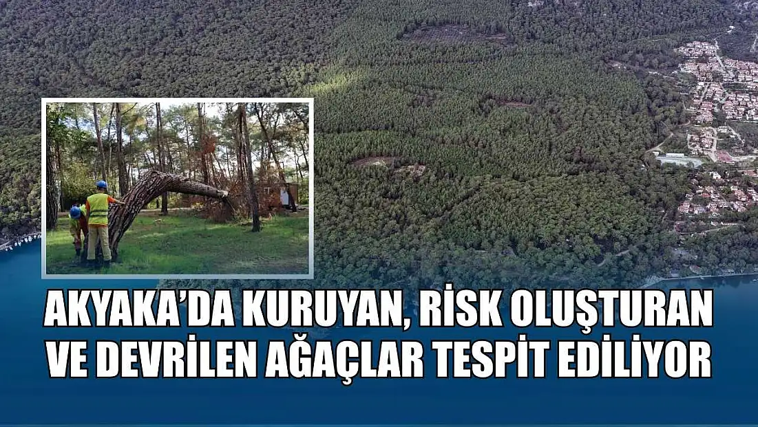 Akyaka’da kuruyan, risk oluşturan ve devrilen ağaçlar tespit ediliyor