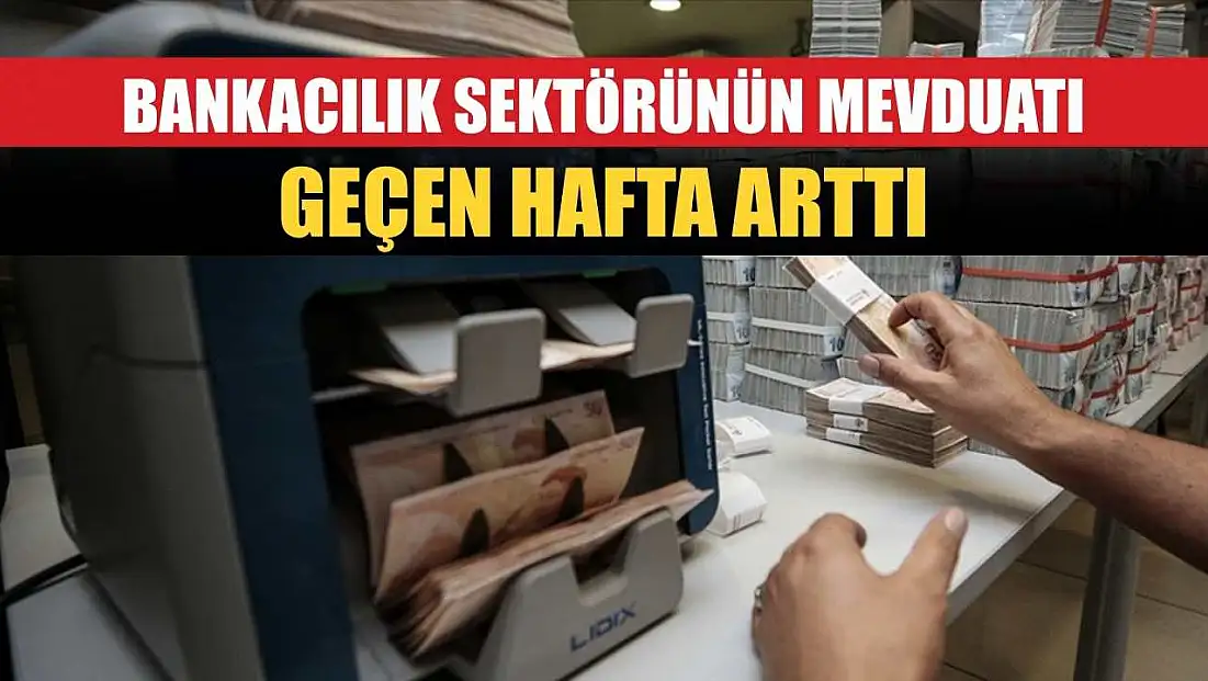 Bankacılık sektörünün mevduatı geçen hafta arttı