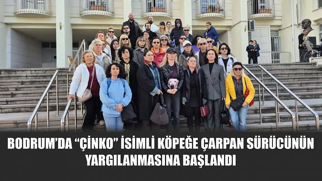 Bodrum’da 'Çinko' isimli köpeğe çarpan sürücünün yargılanmasına başlandı