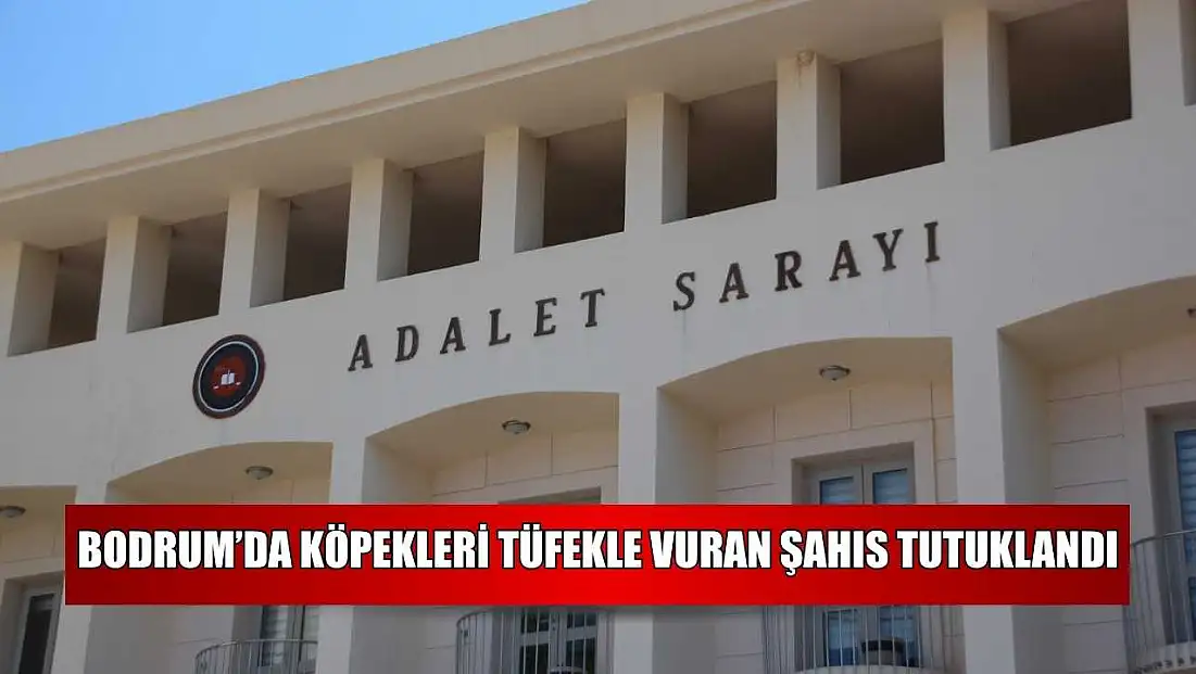 Bodrum’da köpekleri tüfekle vuran şahıs tutuklandı