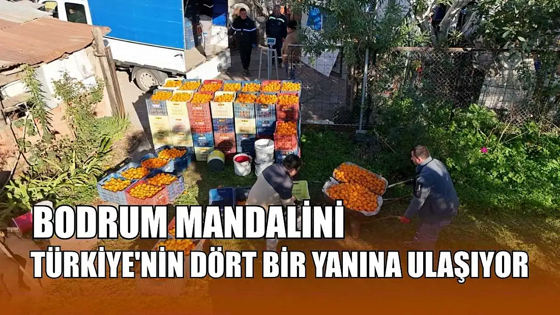 Bodrum Mandalini Türkiye'nin dört bir yanına ulaşıyor