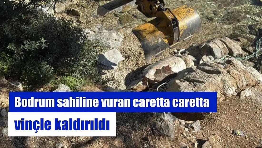 Bodrum sahiline vuran caretta caretta vinçle kaldırıldı