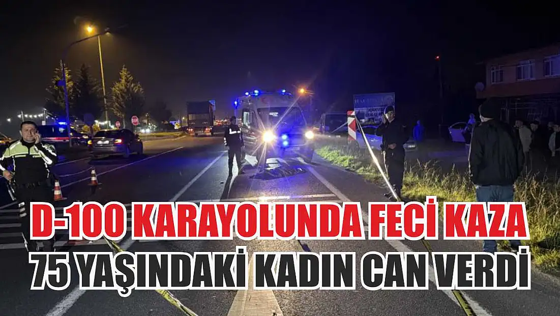 D-100 Karayolu'nda Feci Kaza: 75 Yaşındaki Kadın Can Verdi