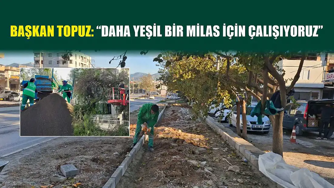 Başkan Topuz: 'Daha yeşil bir milas için çalışıyoruz'