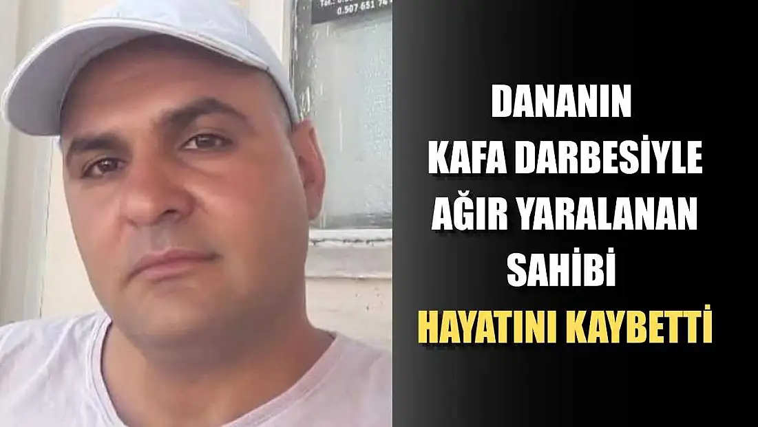 Dananın kafa darbesiyle ağır yaralanan sahibi hayatını kaybetti
