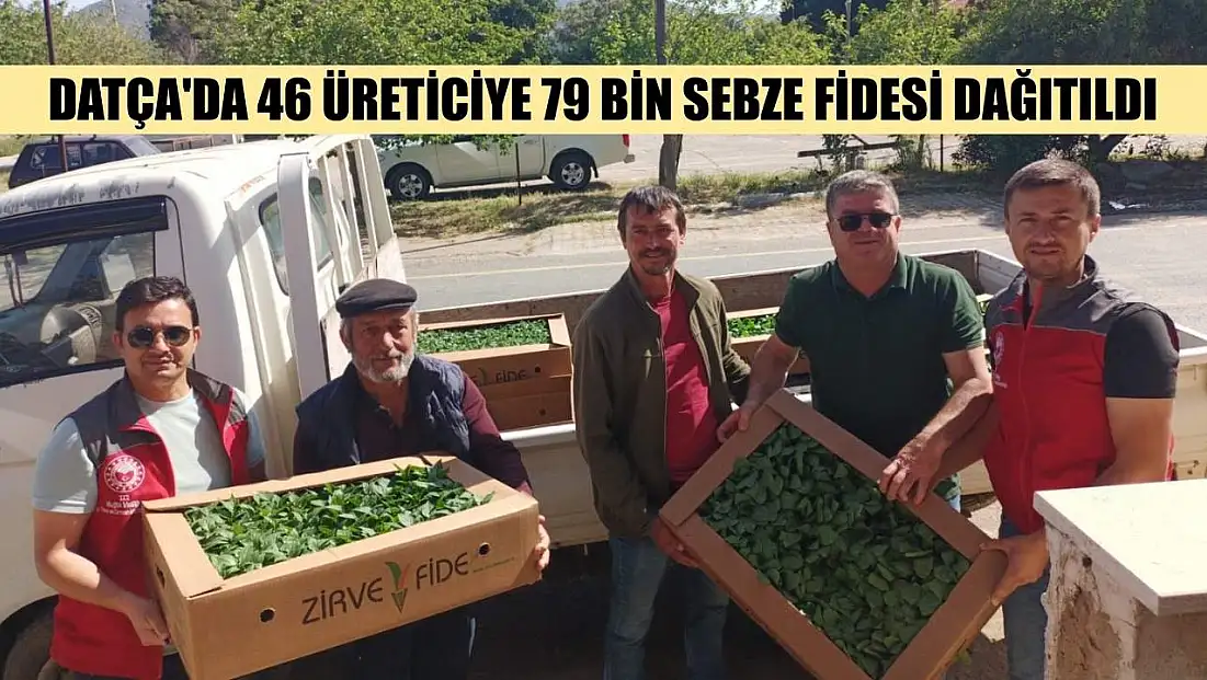 Datça'da 46 üreticiye 79 bin sebze fidesi dağıtıldı