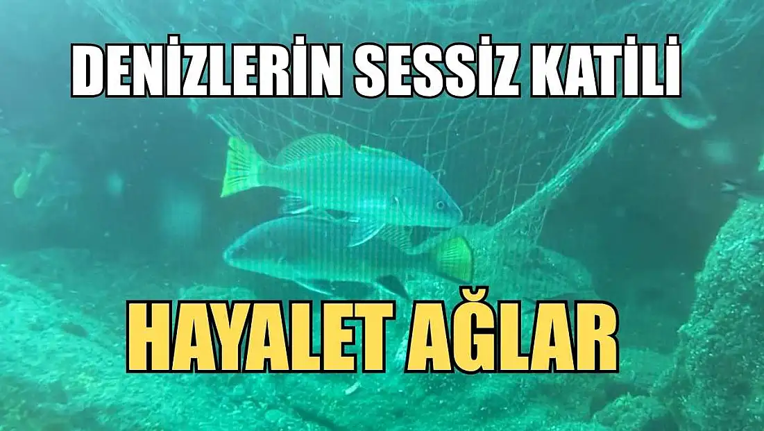 Denizlerin sessiz katili: Hayalet ağlar
