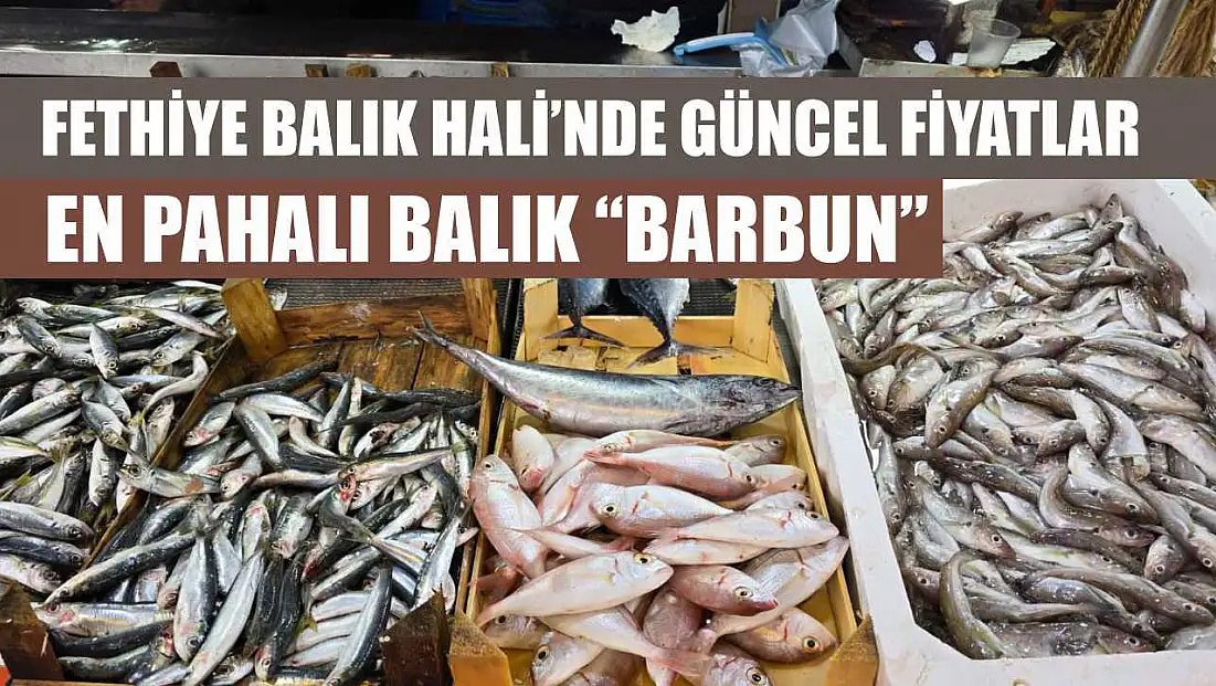 Fethiye Balık Hali’nde güncel fiyatlar: En pahalı balık ‘Barbun’