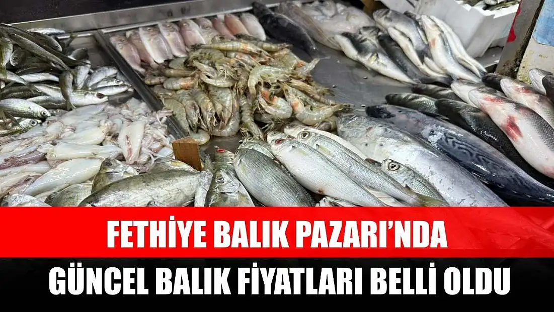 Fethiye Balık Pazarı’nda Güncel Balık Fiyatları Belli Oldu