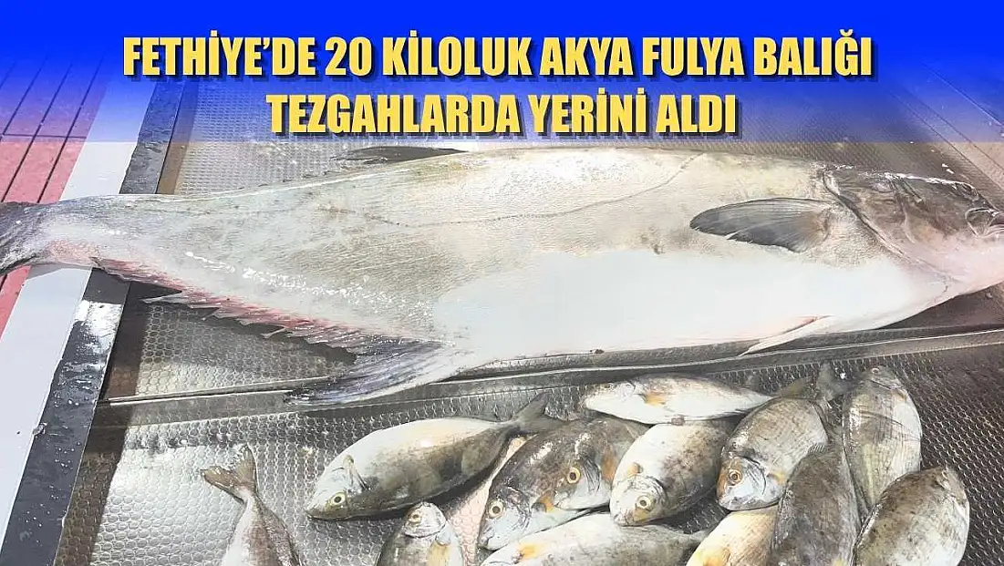 Fethiye’de 20 kiloluk Akya Fulya balığı tezgahlarda yerini aldı
