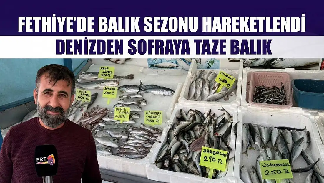 Fethiye’de balık sezonu hareketlendi: Denizden sofraya taze balık