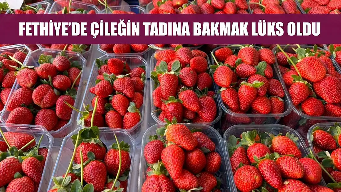 Fethiye’de çileğin tadına bakmak lüks oldu