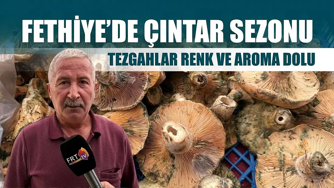 Fethiye’de çıntar sezonu: Tezgahlar renk ve aroma dolu