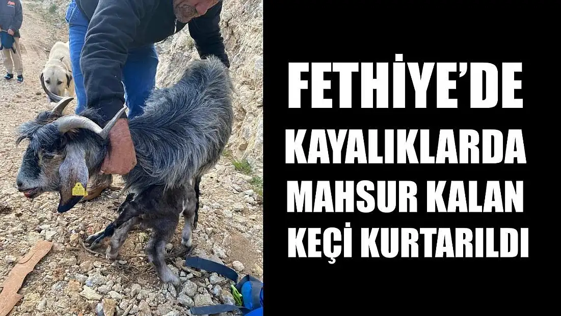 Fethiye’de kayalıklarda mahsur kalan keçi kurtarıldı