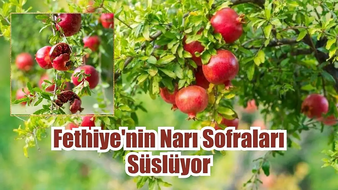 Fethiye'nin Narı Sofraları Süslüyor