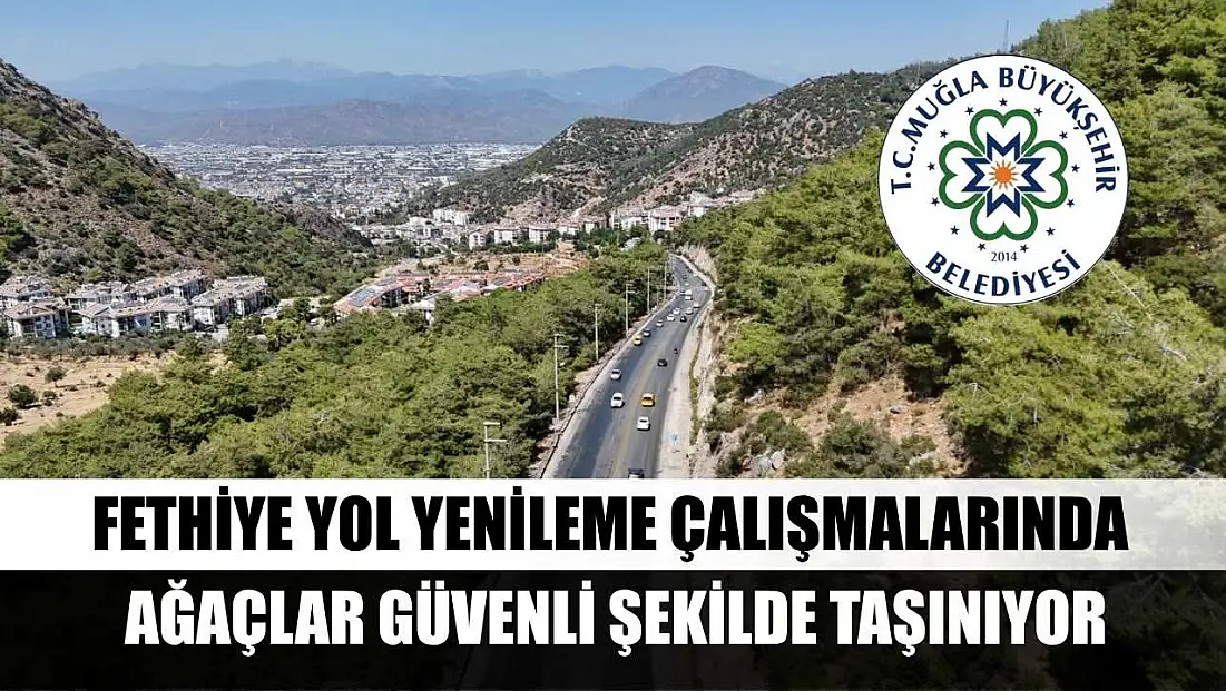 Fethiye Yol Yenileme Çalışmalarında Ağaçlar Güvenli Şekilde Taşınıyor