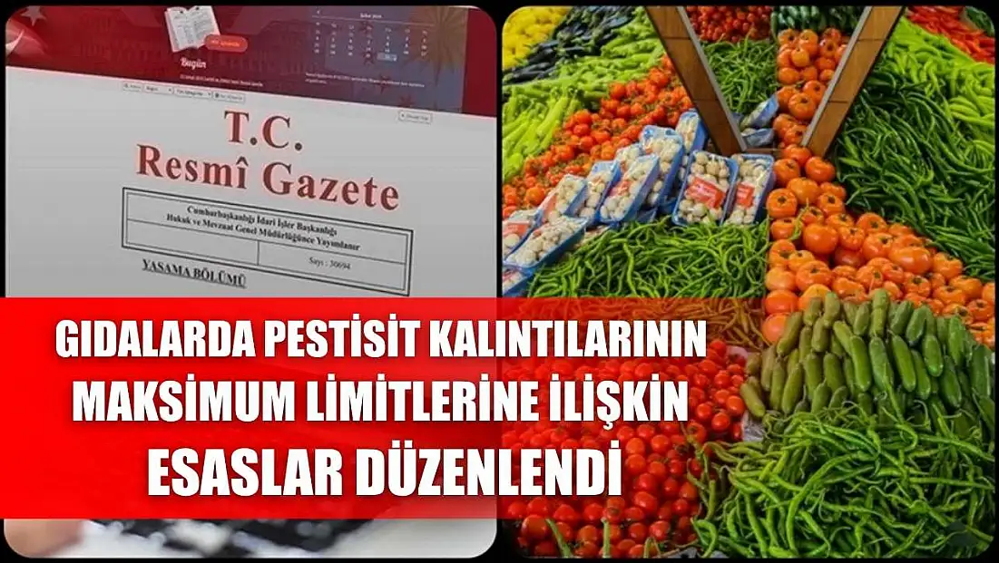 Gıdalarda pestisit kalıntılarının maksimum limitlerine ilişkin esaslar düzenlendi