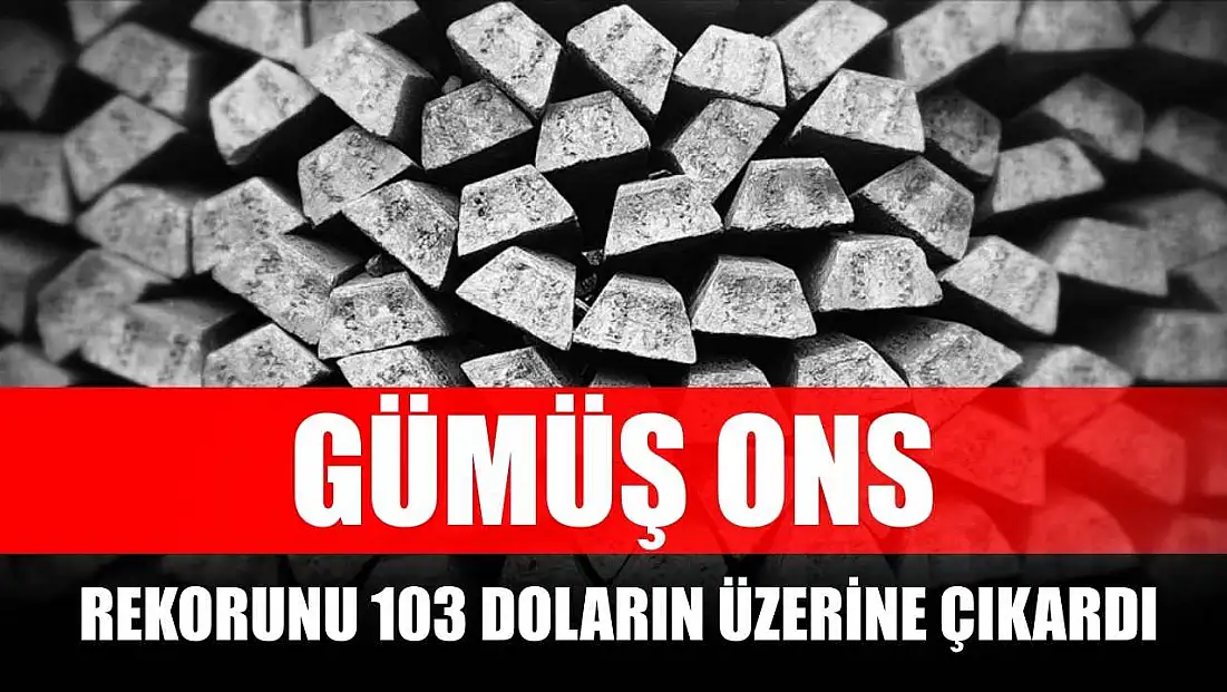 Gümüşün onsu rekorunu 103 doların üzerine çıkardı