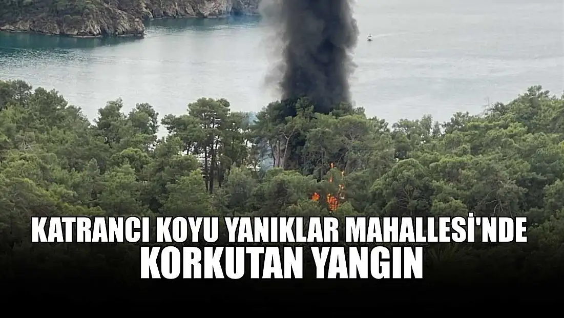 Katrancı Koyu Yanıklar Mahallesi'nde korkutan yangın