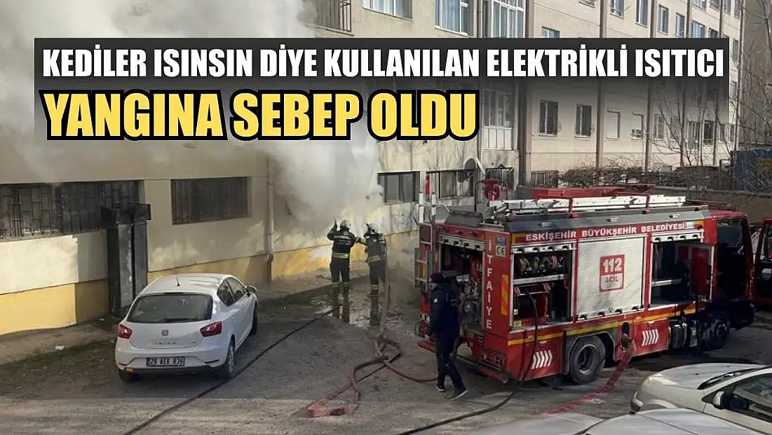 Kediler ısınsın diye kullanılan elektrikli ısıtıcı yangına sebep oldu