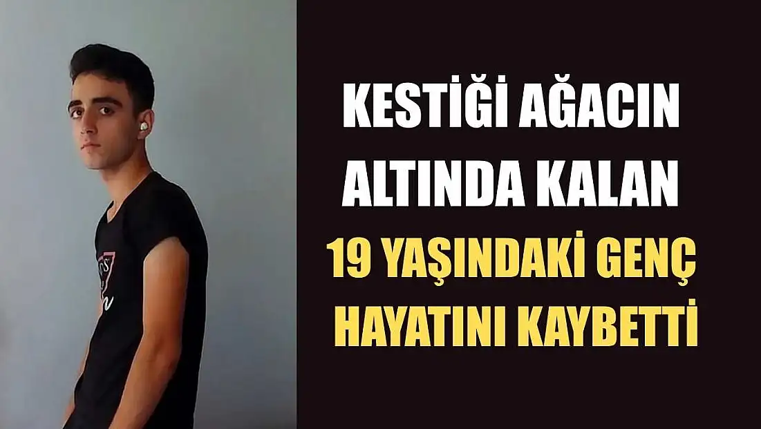 Kestiği ağacın altında kalan 19 yaşındaki genç hayatını kaybetti