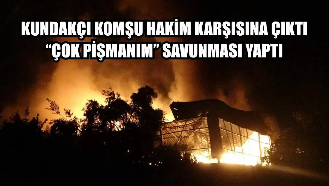Kundakçı komşu hakim karşısına çıktı: 'Çok pişmanım' savunması yaptı