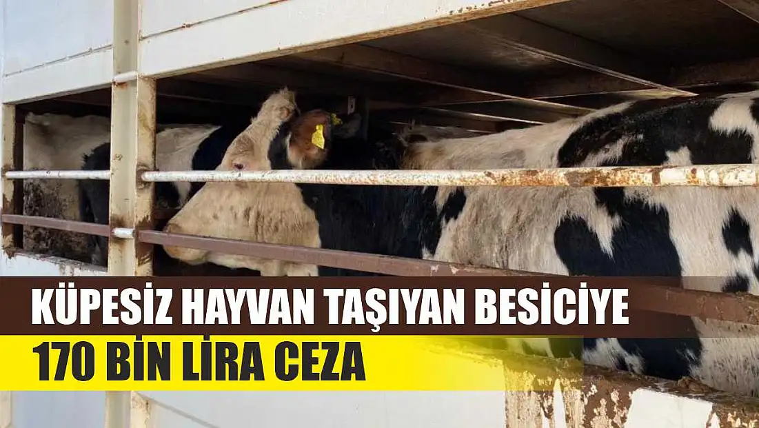 Küpesiz Hayvan Taşıyan Besiciye 170 Bin Lira Ceza