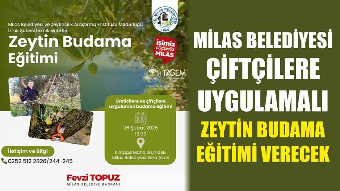 Milas Belediyesi Çiftçilere Uygulamalı Zeytin Budama Eğitimi Verecek