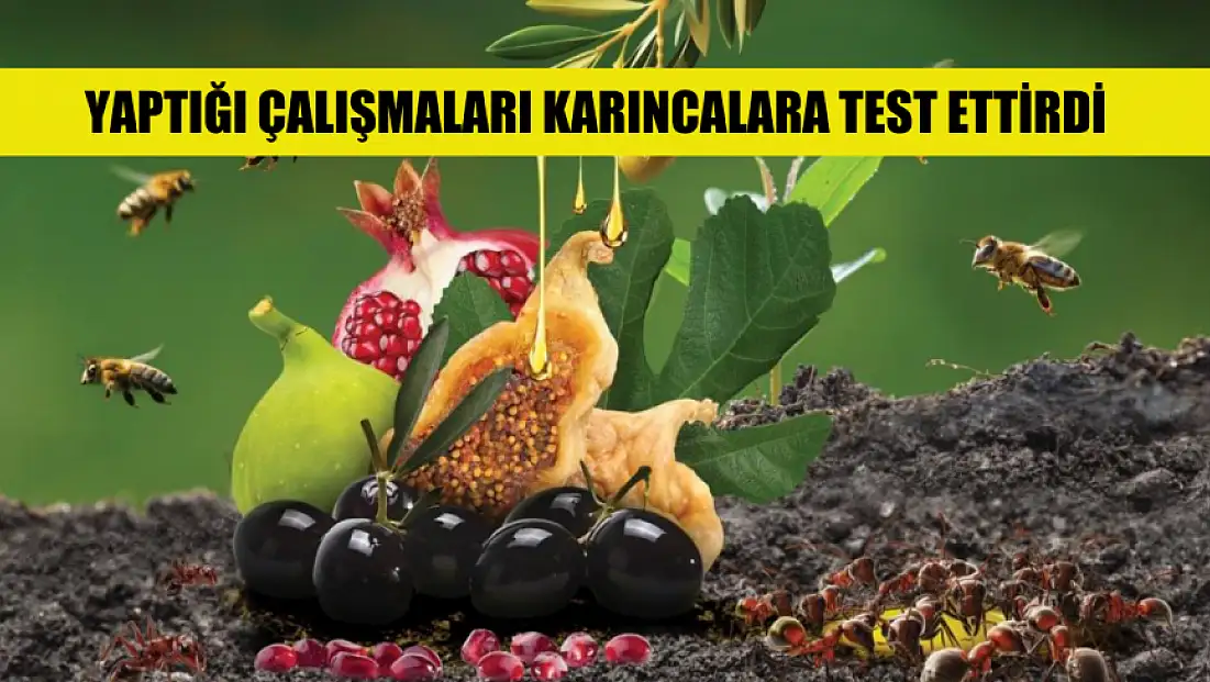 Yaptığı çalışmaları karıncalara test ettirdi, 18 patent sahibi oldu