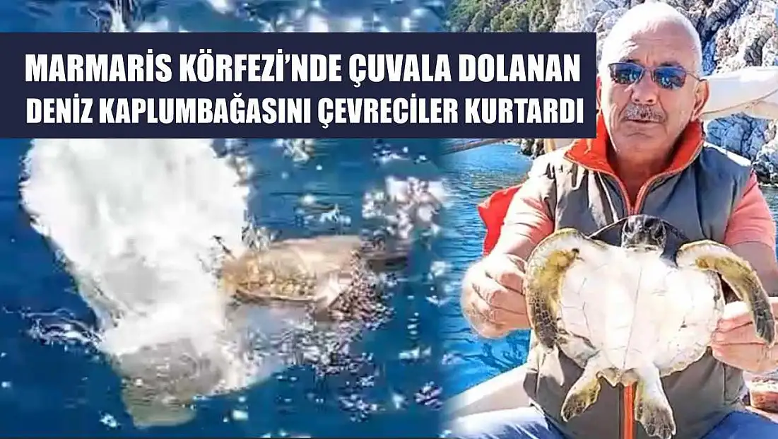 Marmaris Körfezi’nde çuvala dolanan deniz kaplumbağasını çevreciler kurtardı