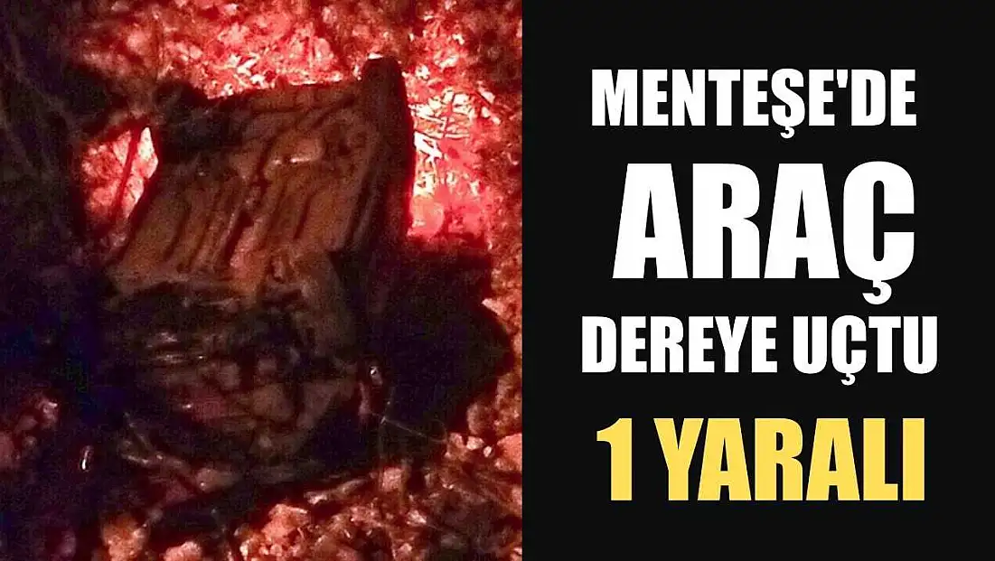 Menteşe'de araç dereye uçtu: 1 yaralı