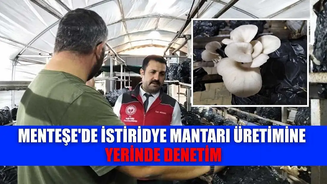 Menteşe'de istiridye mantarı üretimine yerinde denetim