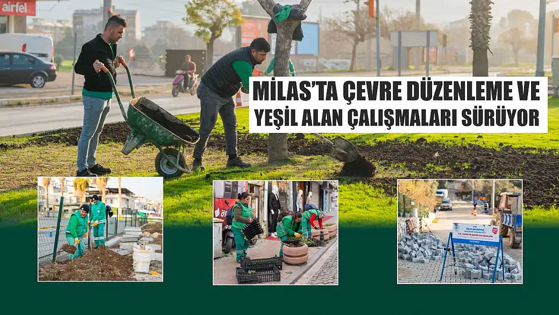 Milas’ta Çevre Düzenleme ve Yeşil Alan Çalışmaları Sürüyor