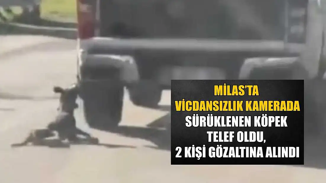 Milas’ta vicdansızlık kamerada: Sürüklenen köpek telef oldu, 2 kişi gözaltına alındı