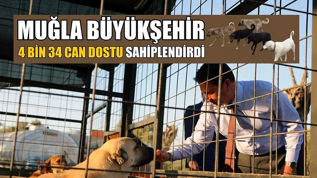 Muğla Büyükşehir 4 bin 34 can dostu sahiplendirdi