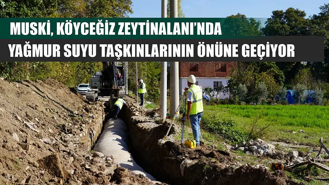 MUSKİ, Köyceğiz Zeytinalanı’nda Yağmur Suyu Taşkınlarının Önüne Geçiyor