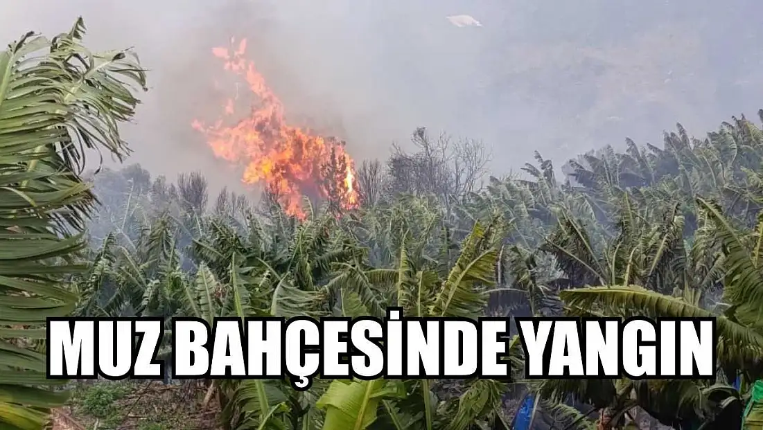 Muz bahçesinde yangın