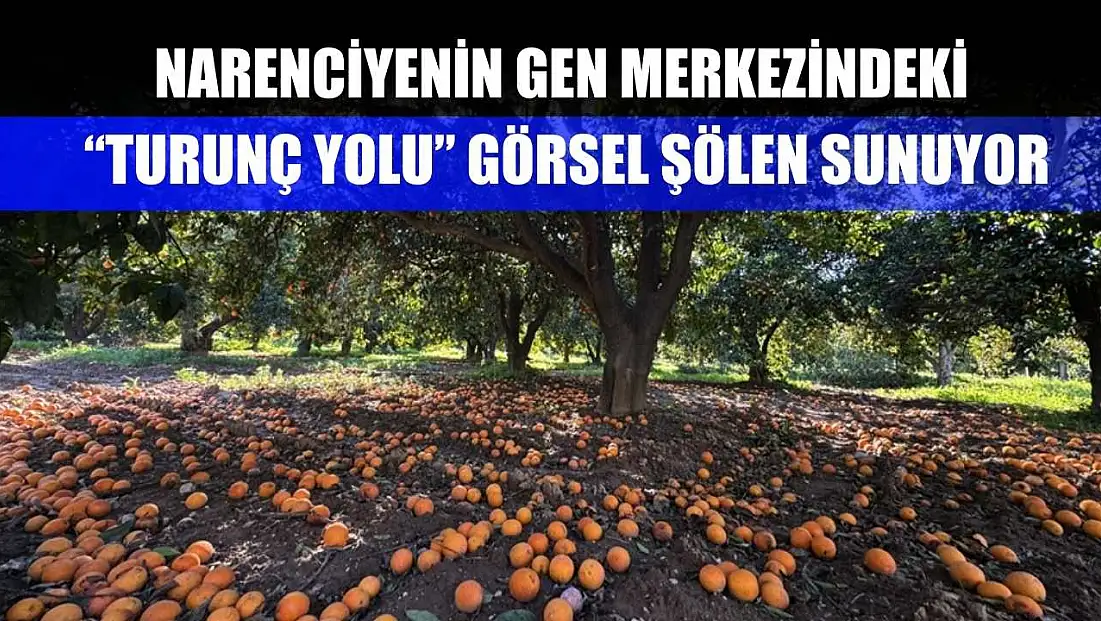 Narenciyenin gen merkezindeki 'Turunç Yolu' görsel şölen sunuyor