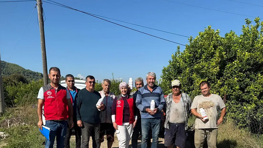Ortaca’da narenciye bahçelerinde zararlılara karşı mücadele sürüyor