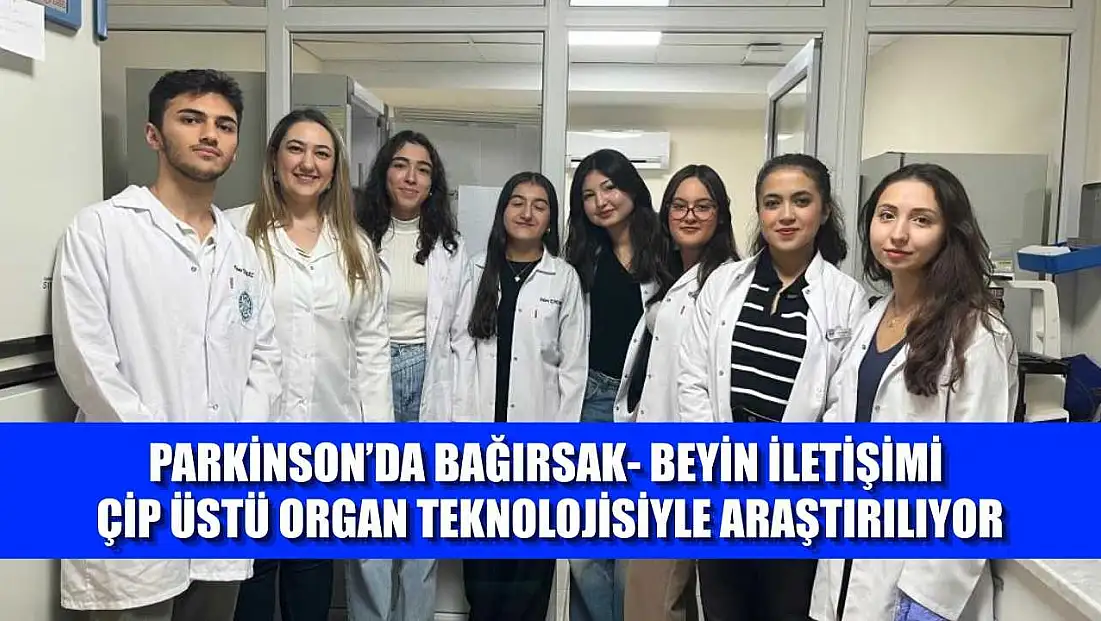 Parkinson’da bağırsak- beyin iletişimi çip üstü organ teknolojisiyle araştırılıyor