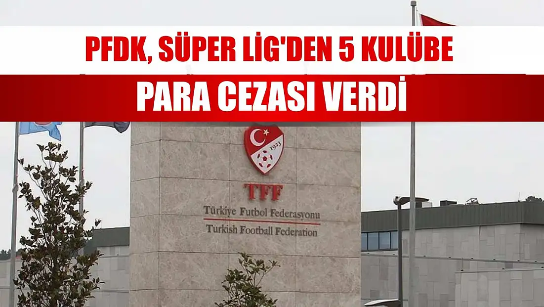 PFDK, Süper Lig'den 5 kulübe para cezası verdi