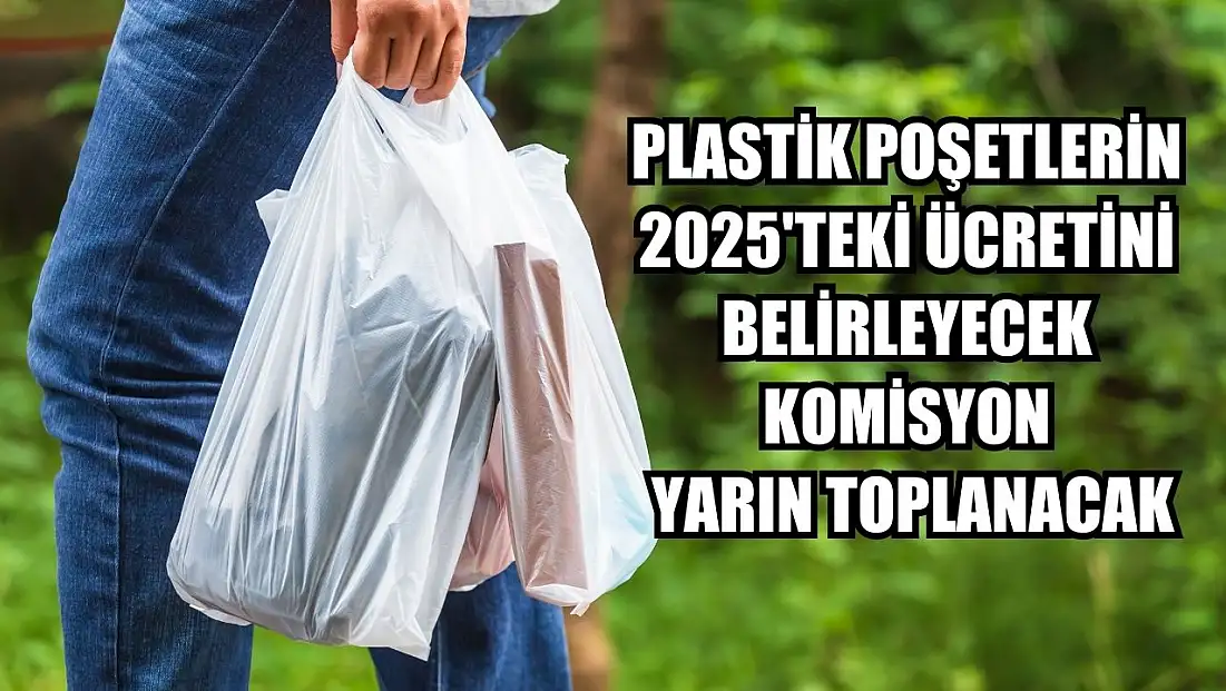 Plastik poşetlerin 2025'teki ücretini belirleyecek komisyon yarın toplanacak