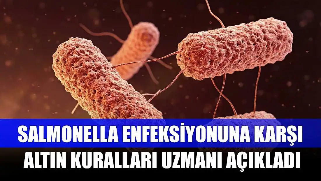 Salmonella enfeksiyonuna karşı altın kuralları uzmanı açıkladı